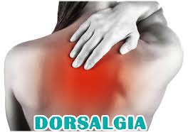 Dorsalgia