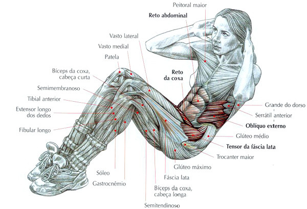 A importância do fortalecimento da musculatura abdominal e da  coluna vertebral na prevenção de patologias