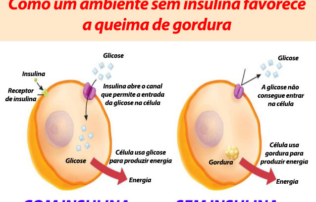 Qual o hormonio que regula o ganho de peso?